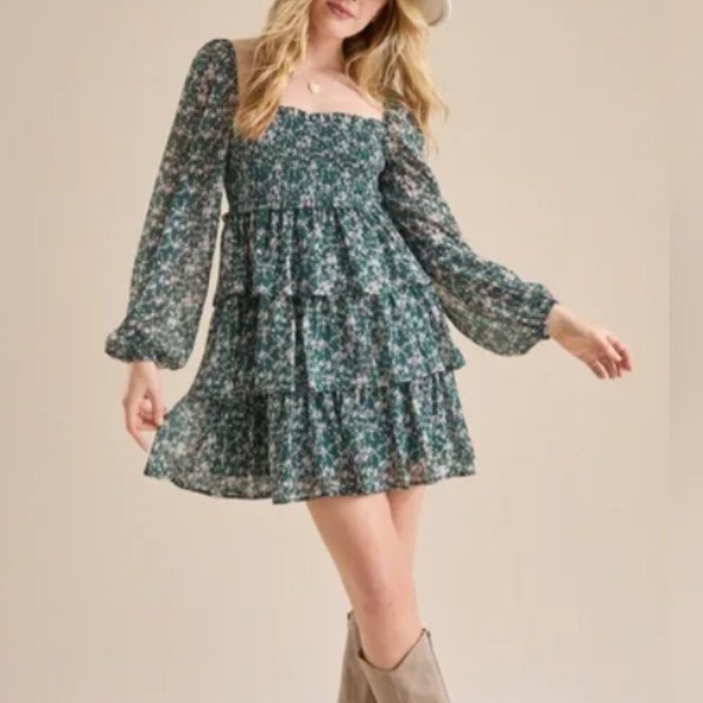 NWT Arula Long Sleeve Mini Dress